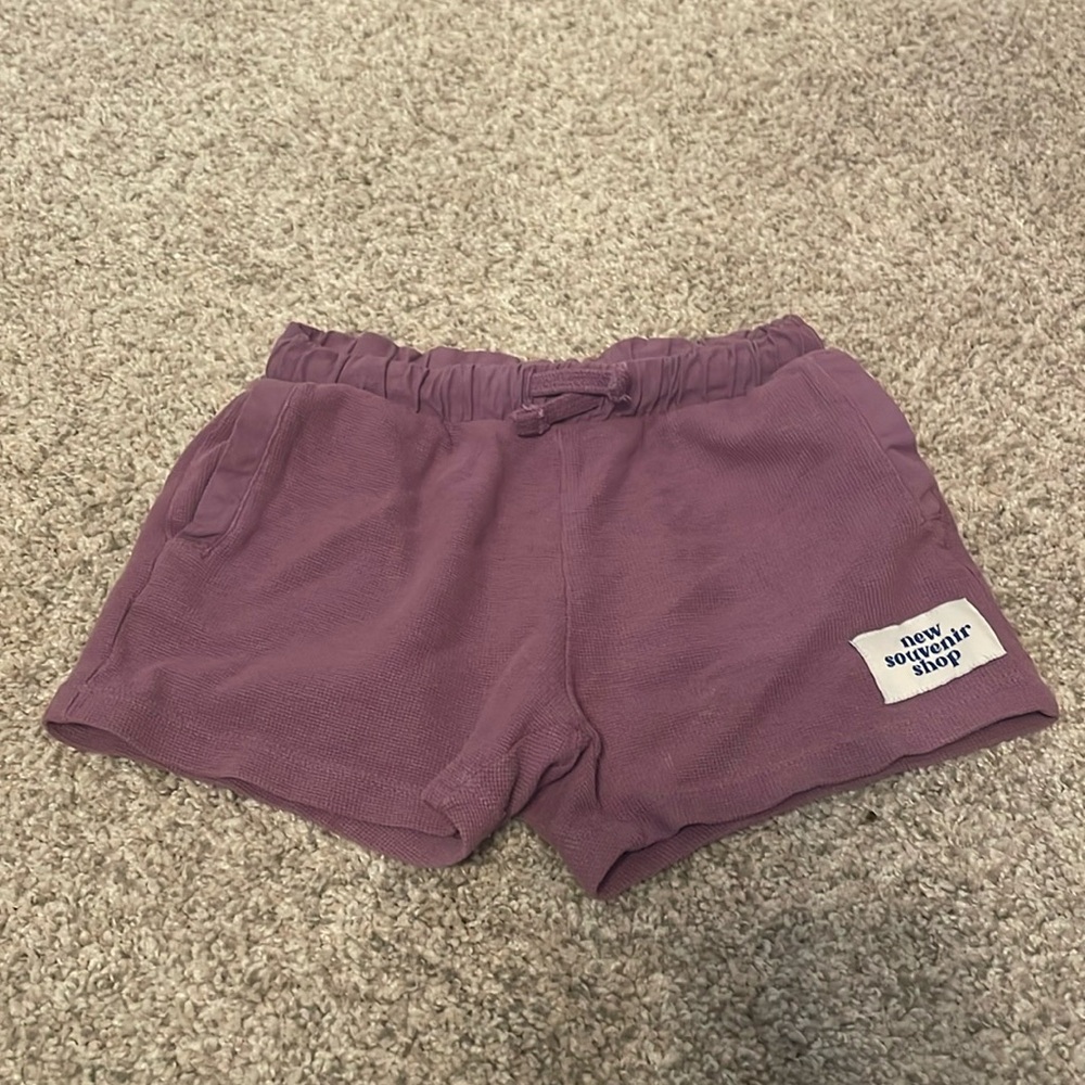 Zara Shorts
